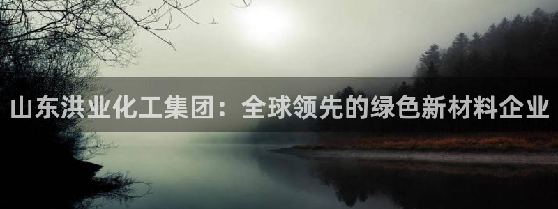 球盟会网页版：山东洪业化工集团：全球领先的绿色新材料企业