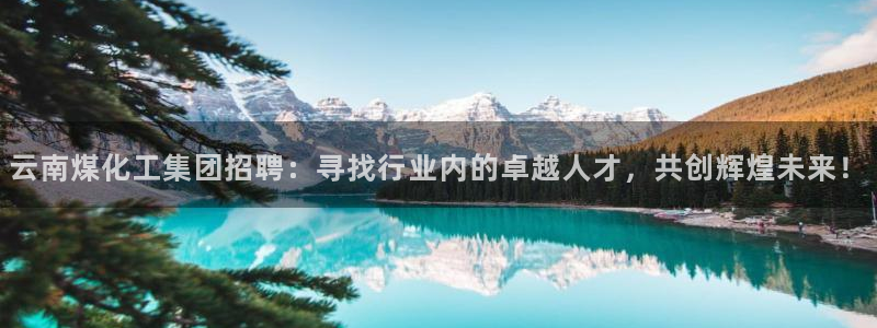 球盟会官方最新入口：云南煤化工集团招聘：寻找行业内的卓越人才
