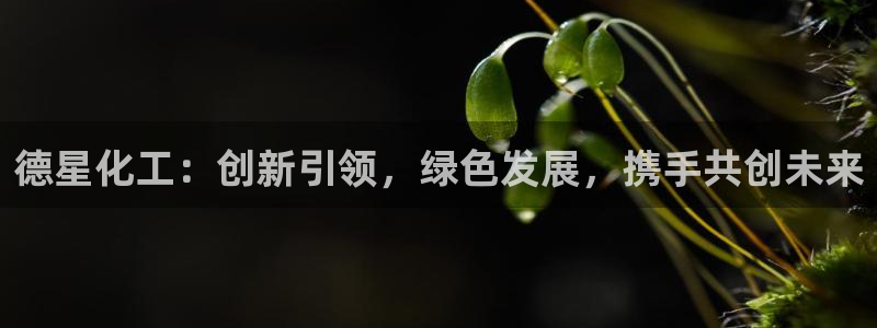 球盟会官方版下载地址：德星化工：创新引领，绿色发展，携手共创