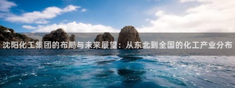 球盟会官方登录平台入口：沈阳化工集团的布局与未来展望：从东北