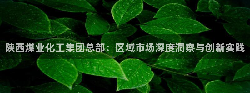 球盟会里面有打牌的嘛：陕西煤业化工集团总部：区域市场深度洞察