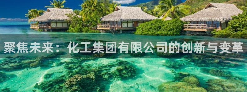 千亿球盟会乐玩：聚焦未来：化工集团有限公司的创新与变革