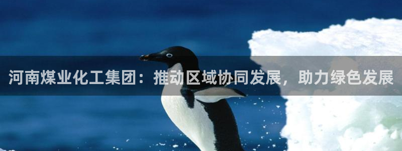 球盟会体验金：河南煤业化工集团：推动区域协同发展，助力绿色发