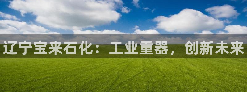 球盟会app最新地址下载：辽宁宝来石化：工业重器，创新未来