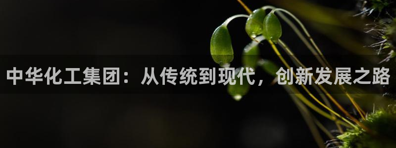 球盟会电子好下吗