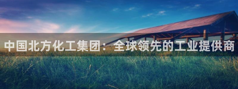 球盟会黑