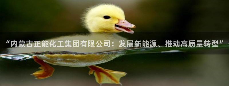 球盟会进不去
