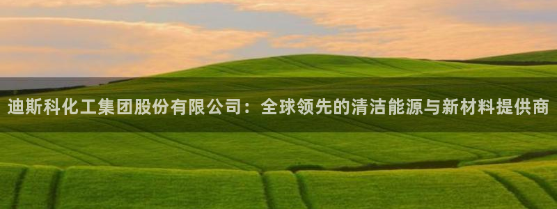 球盟会在线网站：迪斯科化工集团股份有限公