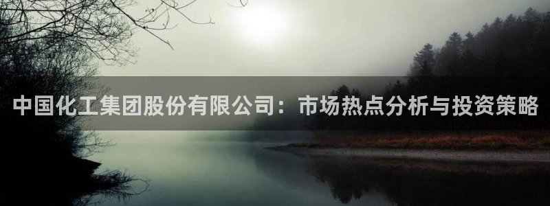 球盟会可以提现么现在：中国化工集团股份有限公司：市场热点分析
