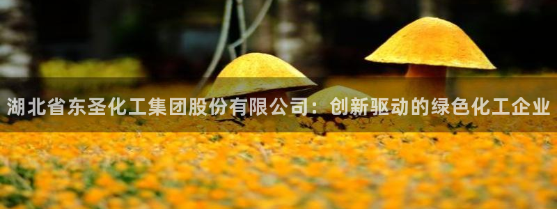 球盟会能退钱吗知乎：湖北省东圣化工集团股