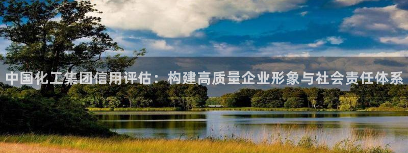 球盟会能退钱吗现在：中国化工集团信用评估