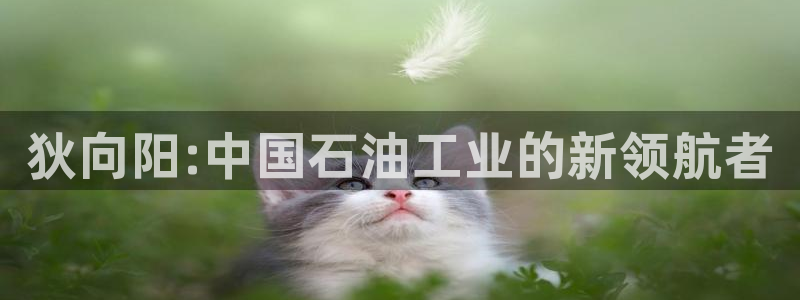 球盟会官方下载：狄向阳:中国石油工业的新领航者