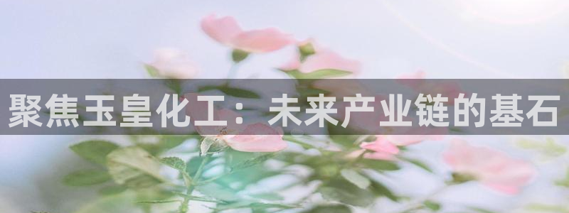 球盟会能退钱吗：聚焦玉皇化工：未来产业链的基石