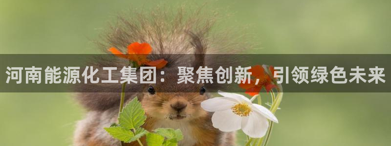 球盟会游戏：河南能源化工集团：聚焦创新，引领绿色未来