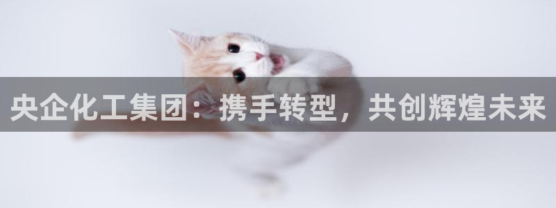 球盟会娱乐平台：央企化工集团：携手转型，共创辉煌未来