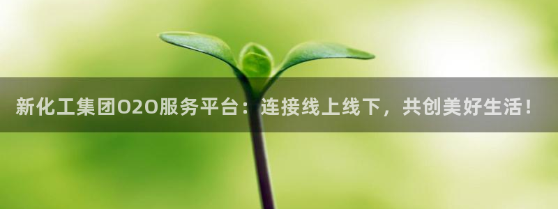 球盟会官网登录入口：新化工集团O2O服务平台：连接线上线下，