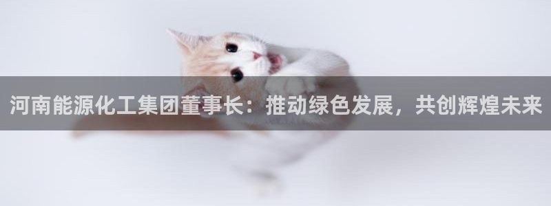 球盟会唯一：河南能源化工集团董事长：推动绿色发展，共创辉煌未