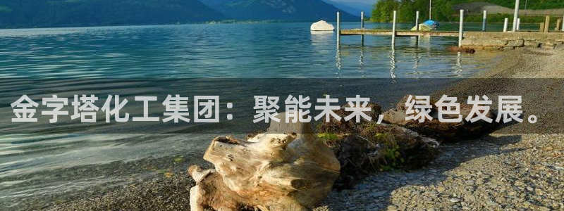 球盟会中国网页登录：金字塔化工集团：聚能