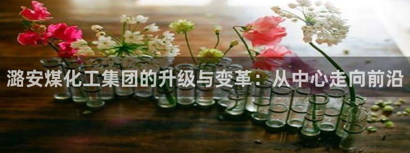 球盟会综合app下载：潞安煤化工集团的升