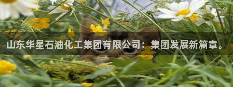 球盟会平台会黑单吗