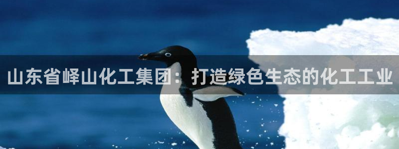球盟会能退钱吗现在：山东省峄山化工集团：打造绿色生态的化工工