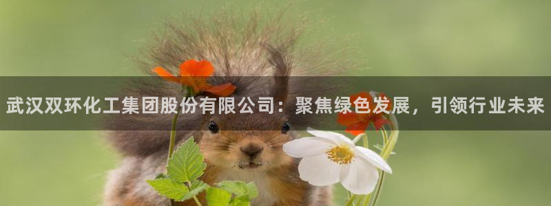 球盟会福利码2023最简单三个步骤：武汉双环化工集团股份有限