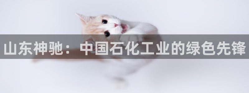 球盟会黑款吗知乎小说：山东神驰：中国石化工业的绿色先锋