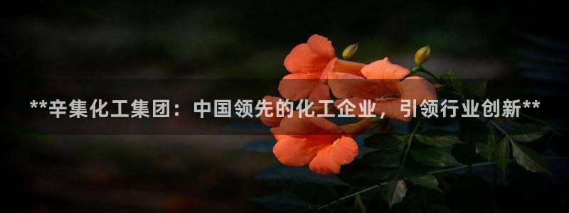 球盟会qmh网页版登录 - qm球盟会官