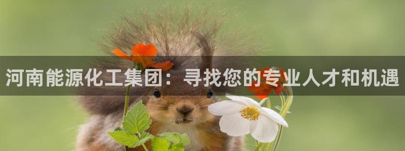 球盟会最新网：河南能源化工集团：寻找您的专业人才和机遇