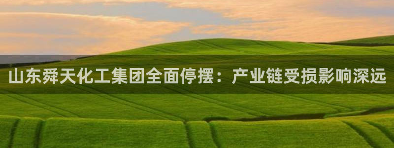 球盟会类似的网站：山东舜天化工集团全面停摆：产业链受损影响深