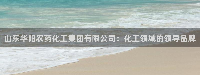 球盟会论坛：山东华阳农药化工集团有限公司：化工领域的领导品牌