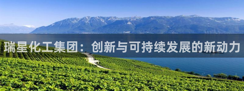 球盟会黑：瑞星化工集团：创新与可持续发展的新动力