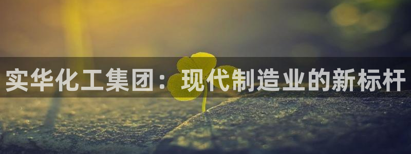 球盟会唯一：实华化工集团：现代制造业的新标杆