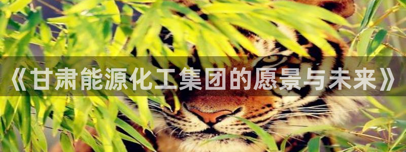 球盟会qmh电子网页版登录：《甘肃能源化工集团的愿景与未来》