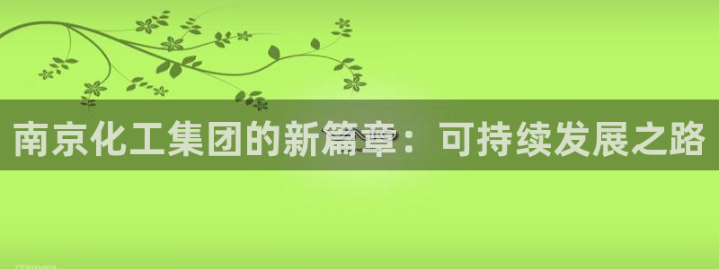 球盟会连接：南京化工集团的新篇章：可持续