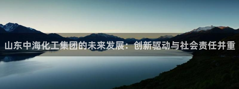 球盟会官方入口：山东中海化工集团的未来发展：创新驱动与社会责