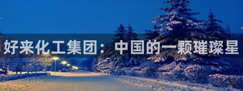 球盟会进不去吗：好来化工集团：中国的一颗璀璨星