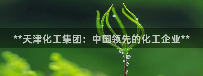 球盟会进不去吗：**天津化工集团：中国领先的化工企业**