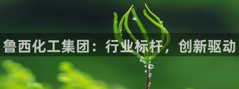 球盟会综合体育平台