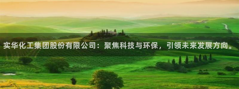 球盟会黑台子：实华化工集团股份有限公司：聚焦科技与环保，引领