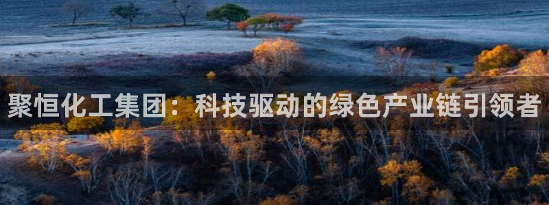 球盟会qm8597：聚恒化工集团：科技驱动的绿色产业链引领者