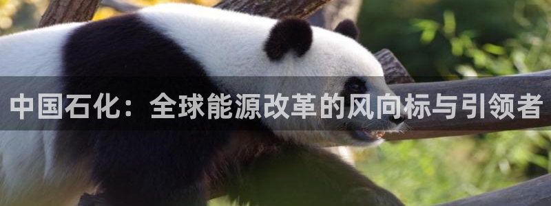 球盟会官方网站是什么：中国石化：全球能源改革的风向标与引领者