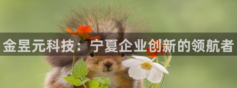 球盟会黑款吗知乎文章：金昱元科技：宁夏企业创新的领航者