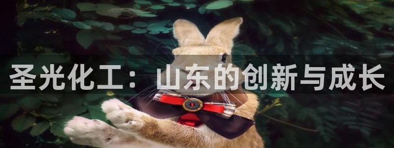 球盟会登录平台：圣光化工：山东的创新与成长
