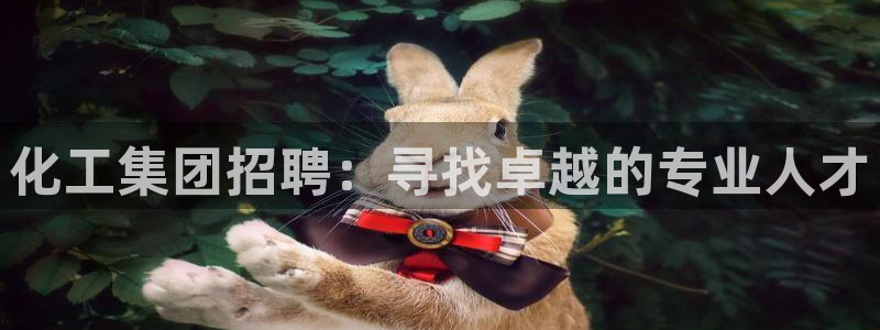 球盟会黑款吗知乎小说：化工集团招聘：寻找卓越的专业人才