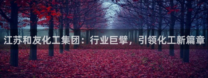 球盟会APP最新地址