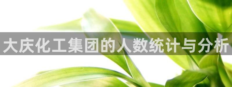 球盟会进不去球员吗：大庆化工集团的人数统计与分析