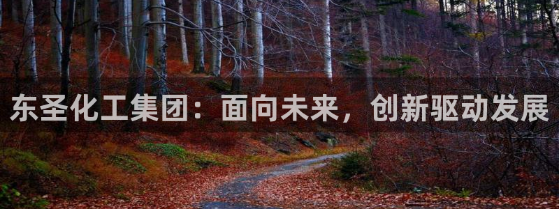 球盟会电子好下吗：东圣化工集团：面向未来，创新驱动发展