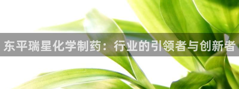 球盟会登录平台：东平瑞星化学制药：行业的引领者与创新者