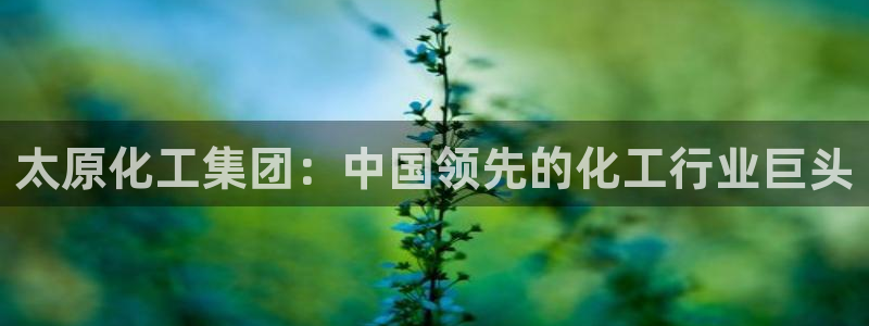 球盟会网页版：太原化工集团：中国领先的化工行业巨头